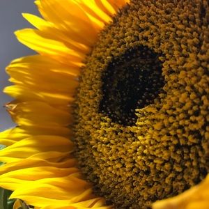 Meet your Poshmark Ambassador